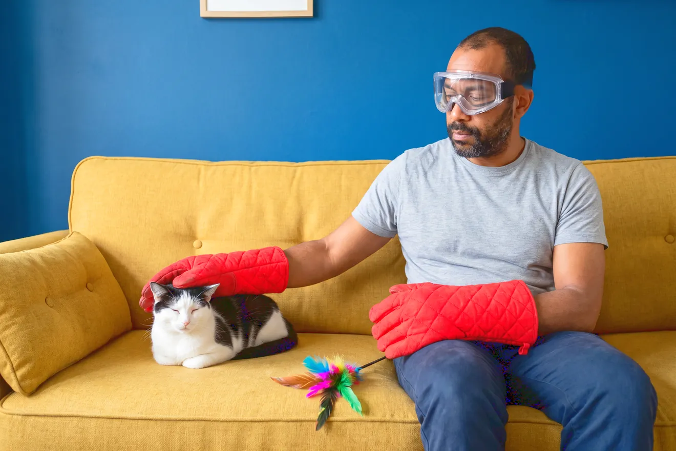 Photo d'illustration : Adopter un chat