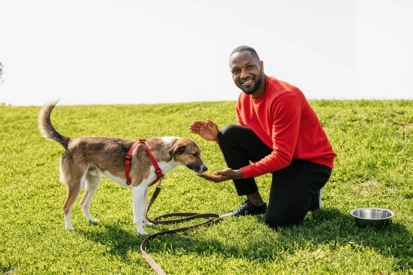 Photo d'illustration : Adopter un chien adulte