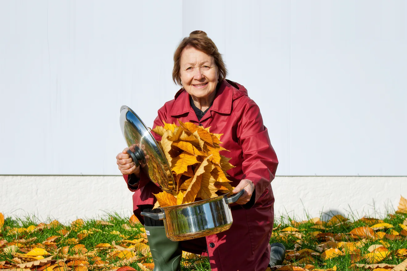 Photo d'illustration : Ramasser les feuilles mortes