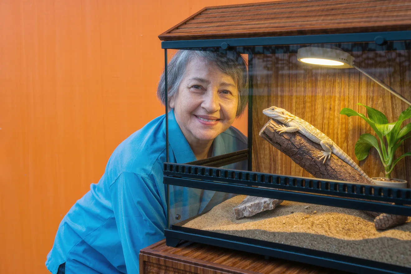 Photo d'illustration : Accueillir un pogona