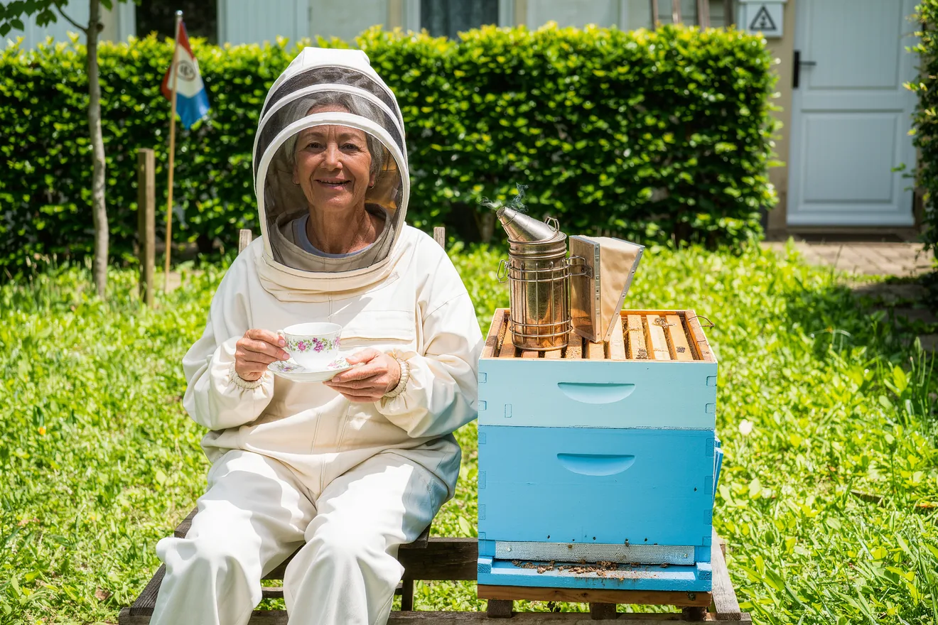 Photo d'illustration : Débuter l'apiculture avec une première ruche
