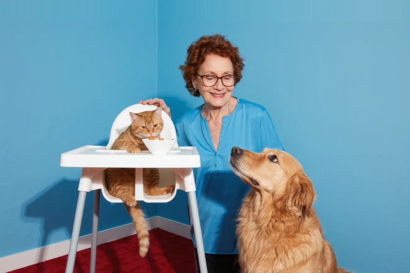 Photo d'illustration : Chien et chat ensemble