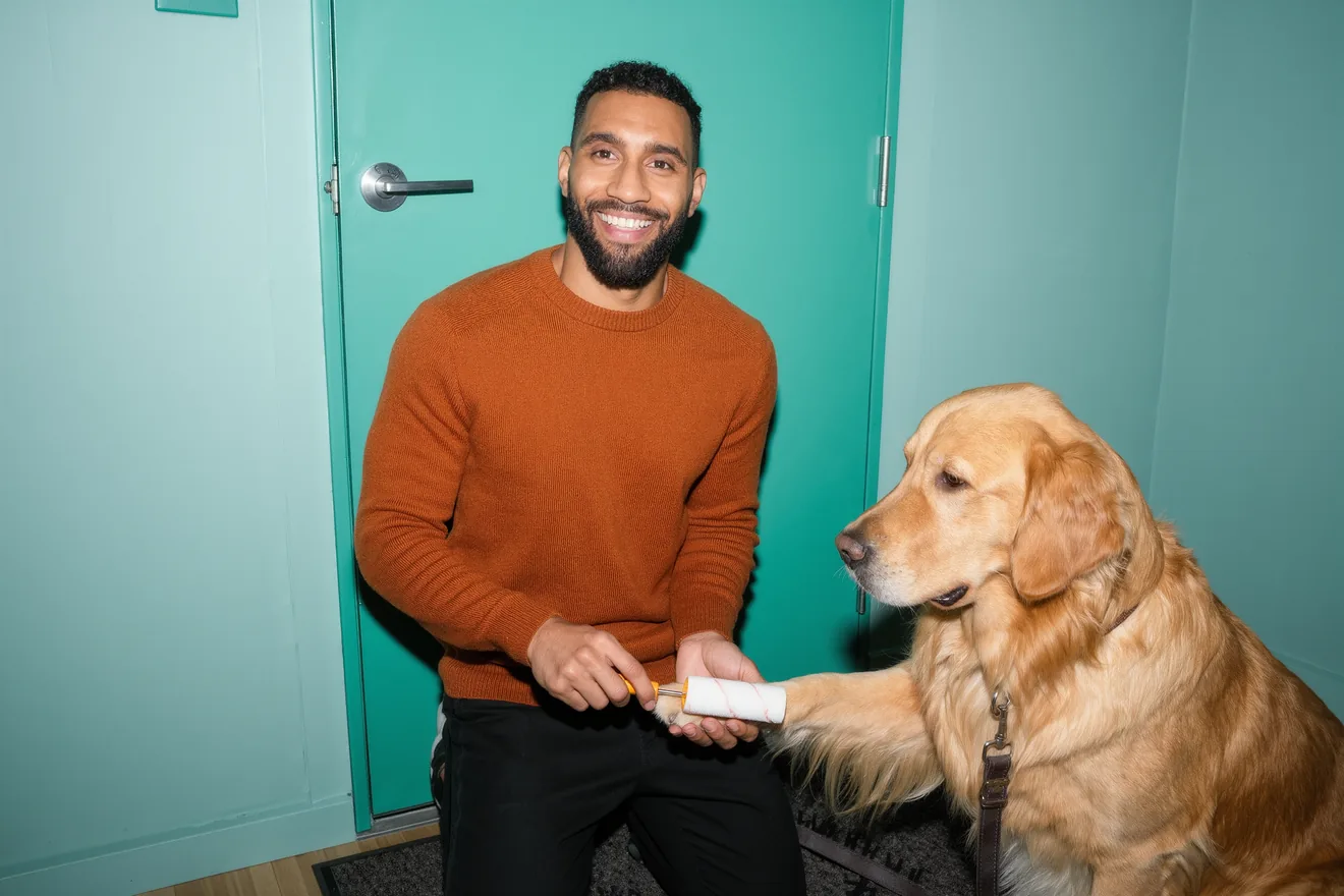 Photo d'illustration : Chien en appartement