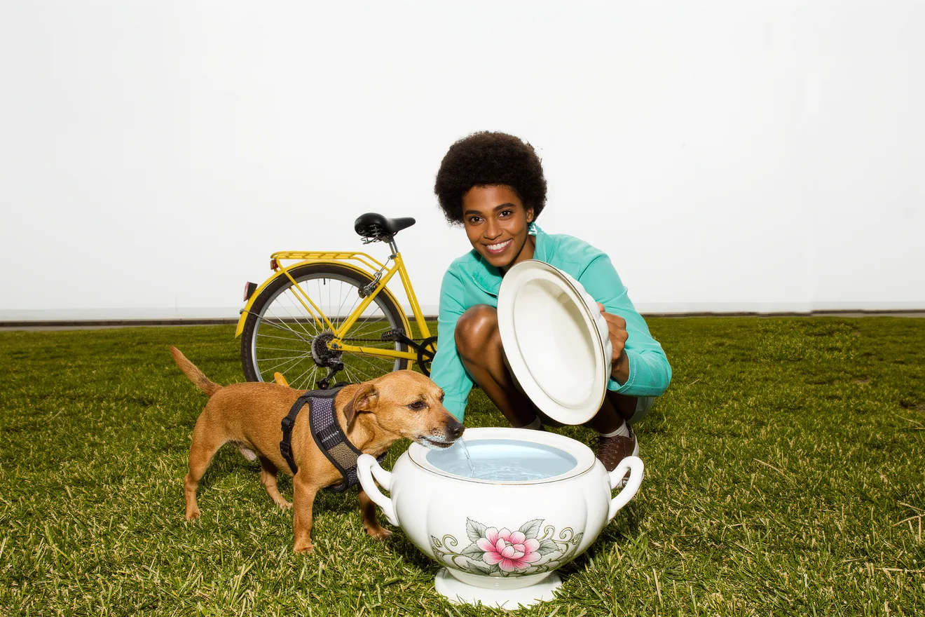 Photo d'illustration : Vélo avec son chien