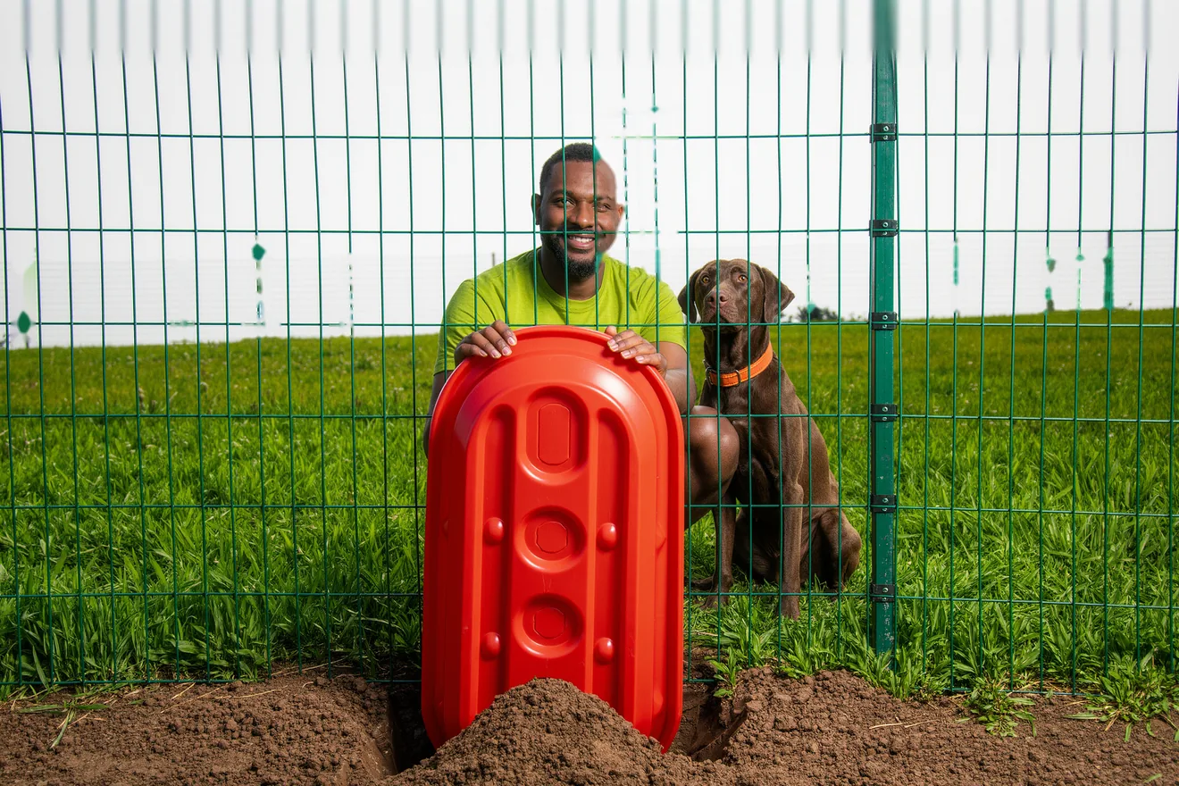 Photo d'illustration : Chien qui fugue