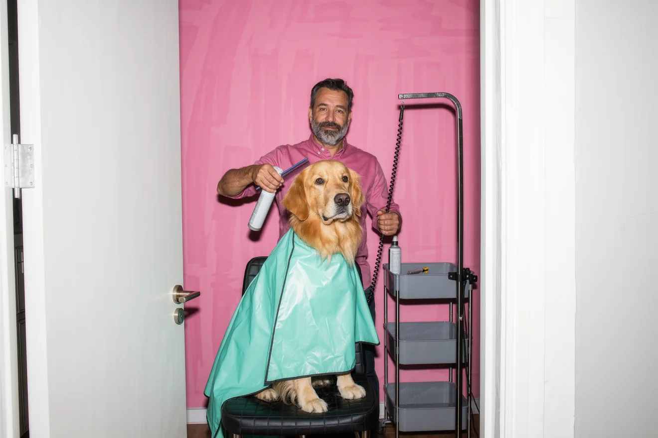Photo d'illustration : Toiletter son chien
