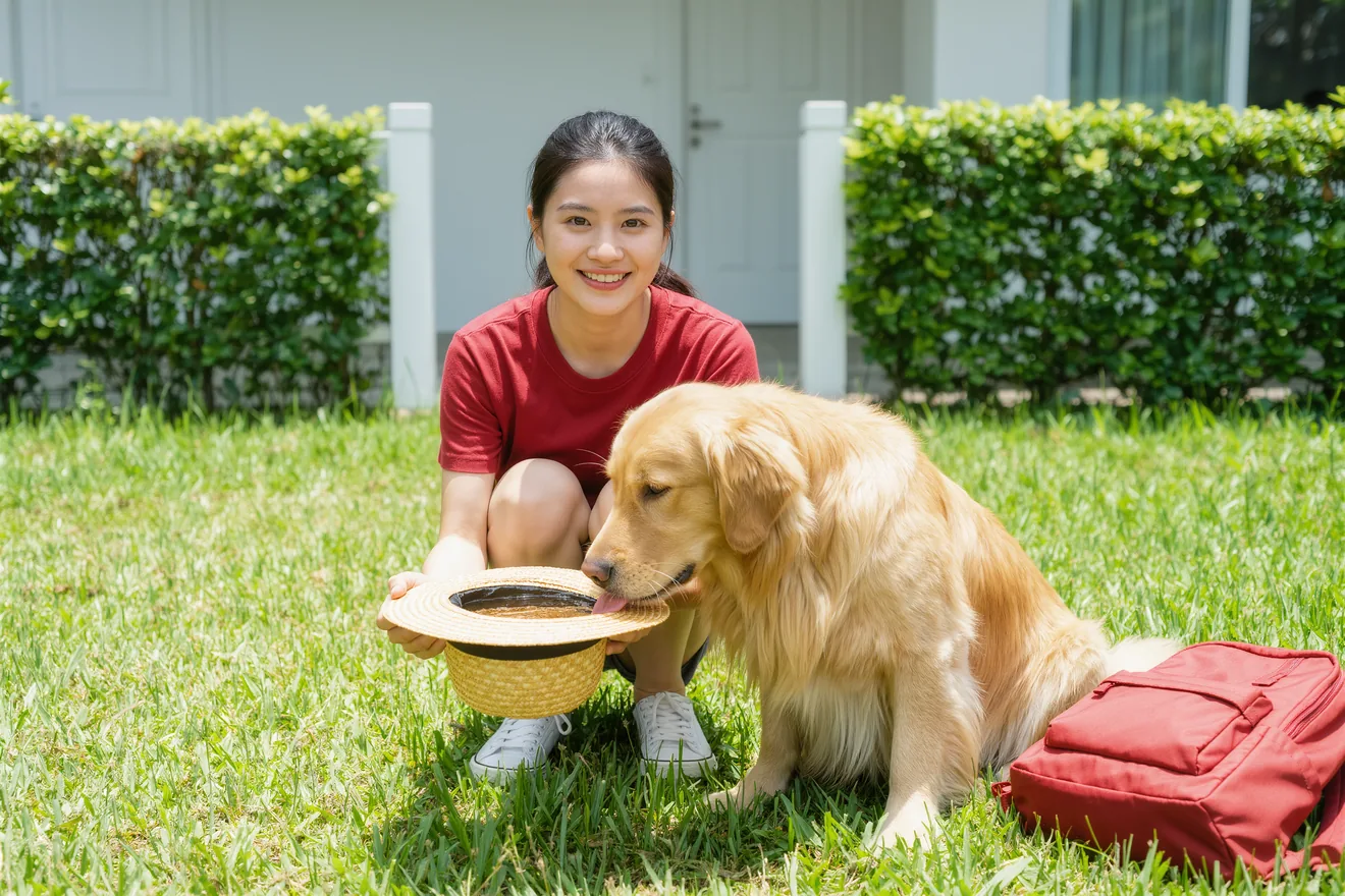 Photo d'illustration : Vacances avec son chien