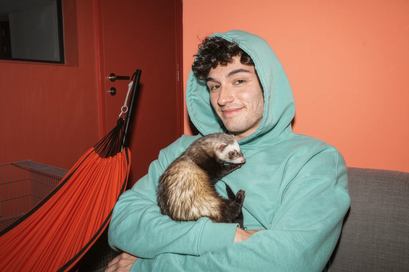 Photo d'illustration : Accueillir un furet