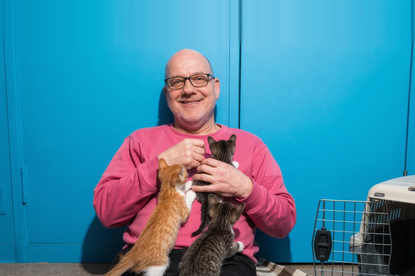 Photo d'illustration : Famille d'accueil pour chats