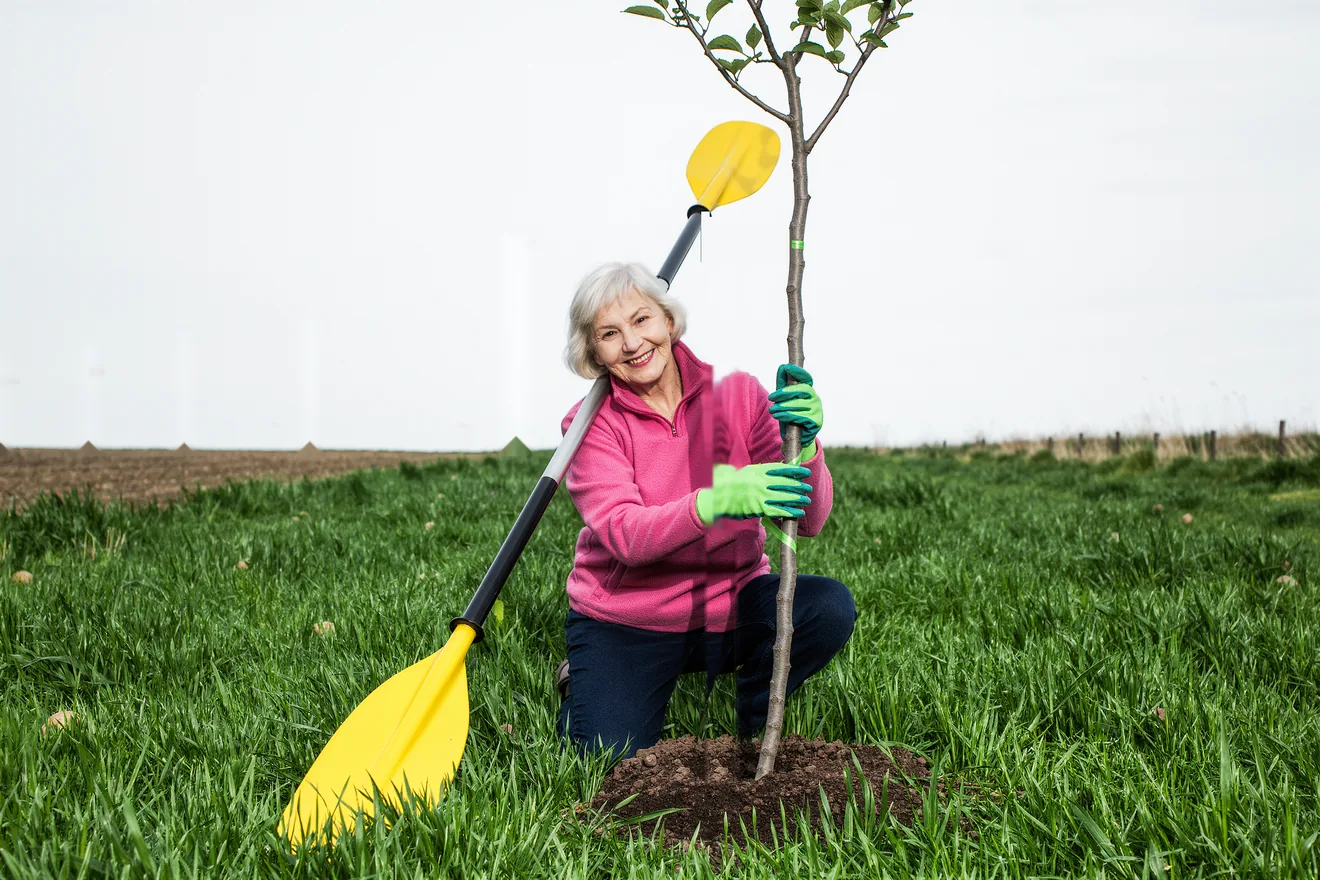 Photo d'illustration : Planter des arbres fruitiers