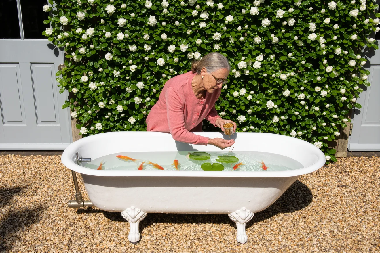 Photo d'illustration : Bassin de jardin