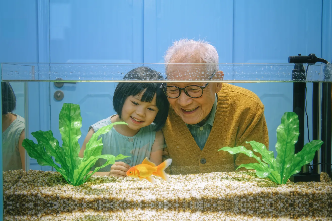 Photo d'illustration : Poisson rouge