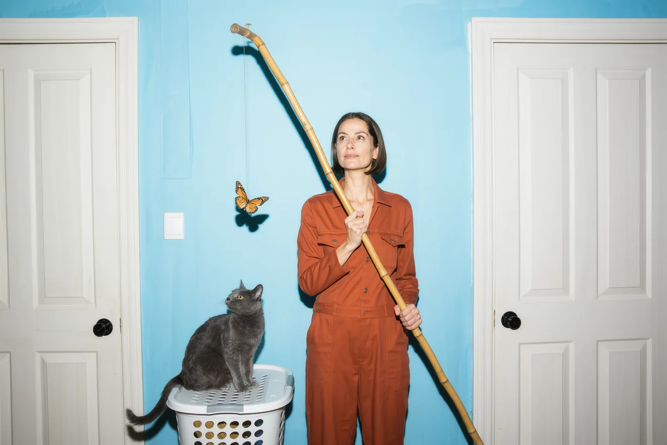 Photo d'illustration : Occuper un chat d'intérieur