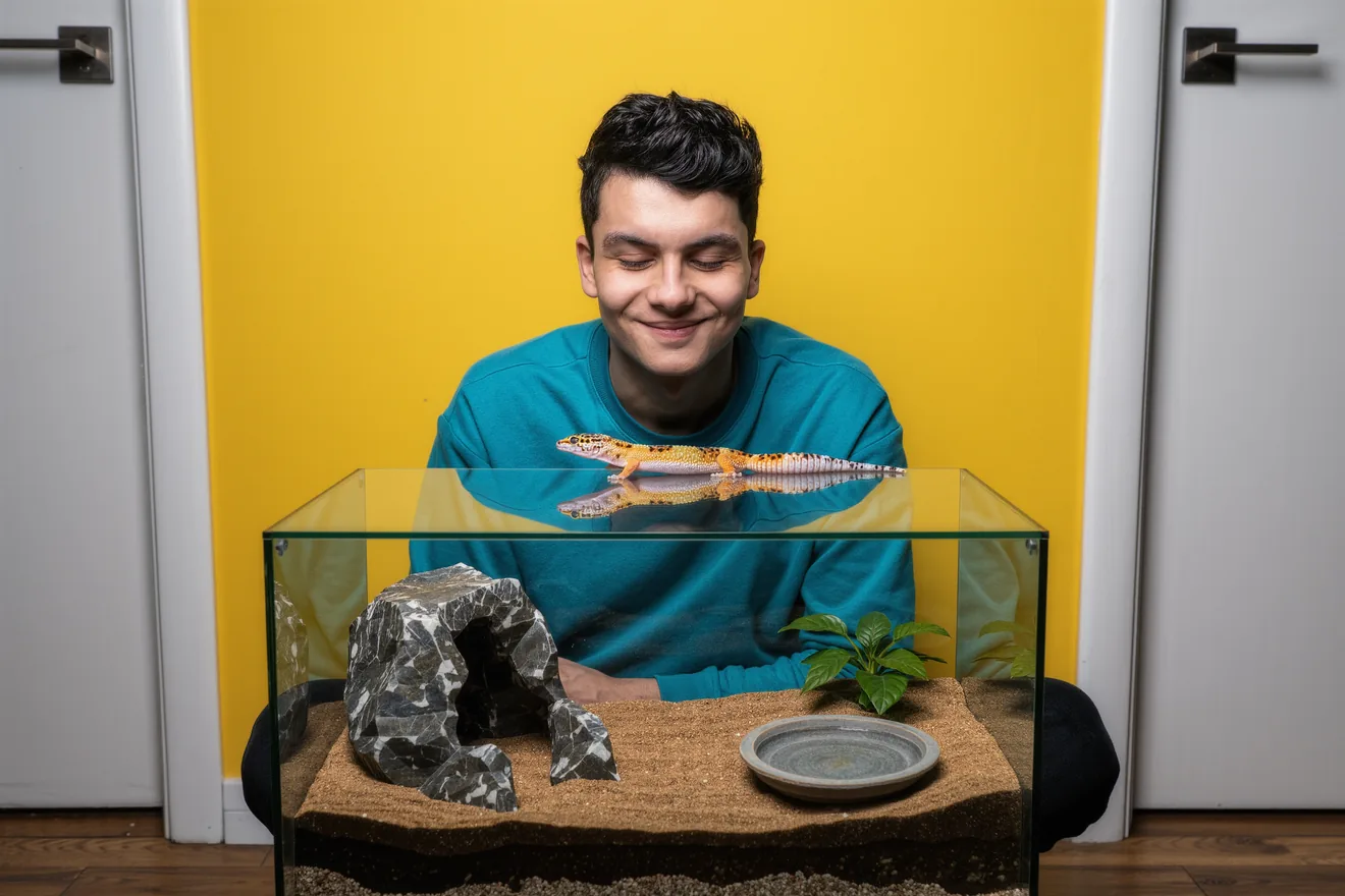 Photo d'illustration : Accueillir un gecko léopard