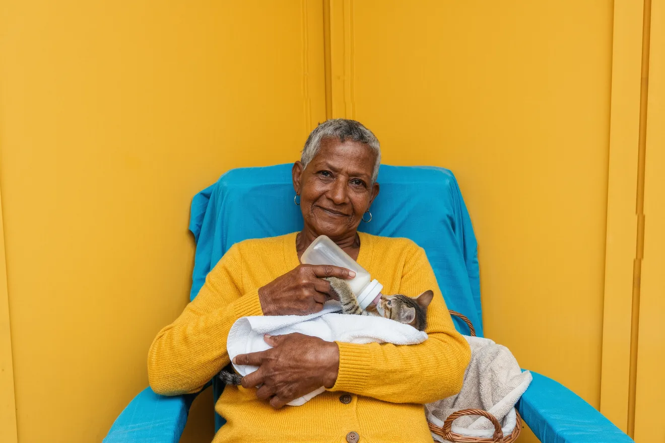 Photo d'illustration : Chaton orphelin