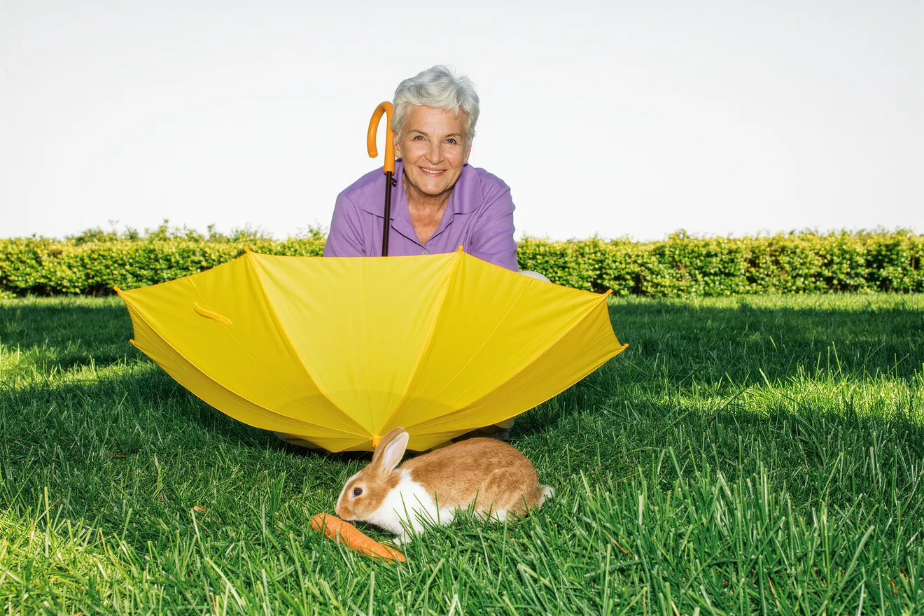 Photo d'illustration : Lapin en extérieur