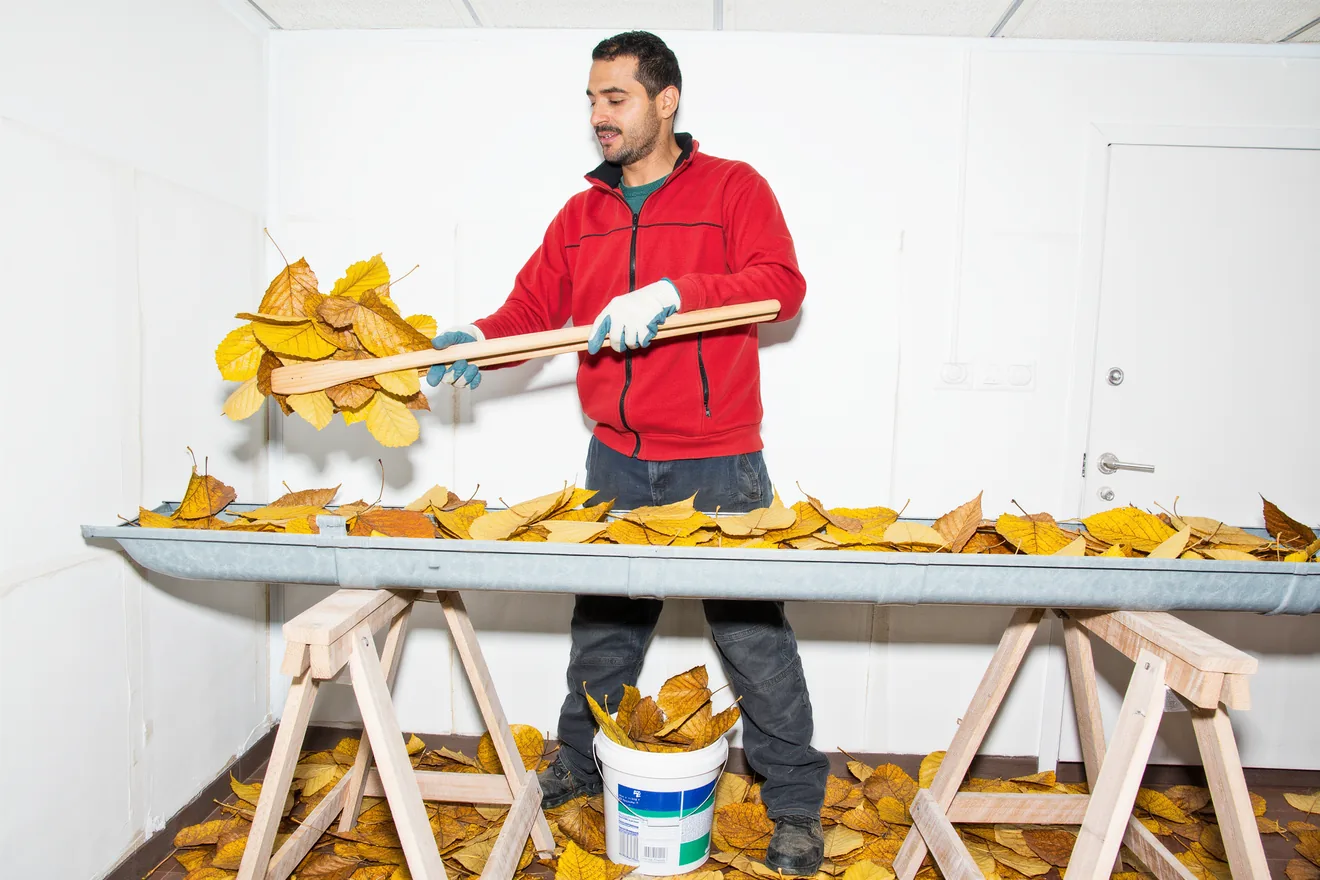 Photo d'illustration : Gouttières et toiture